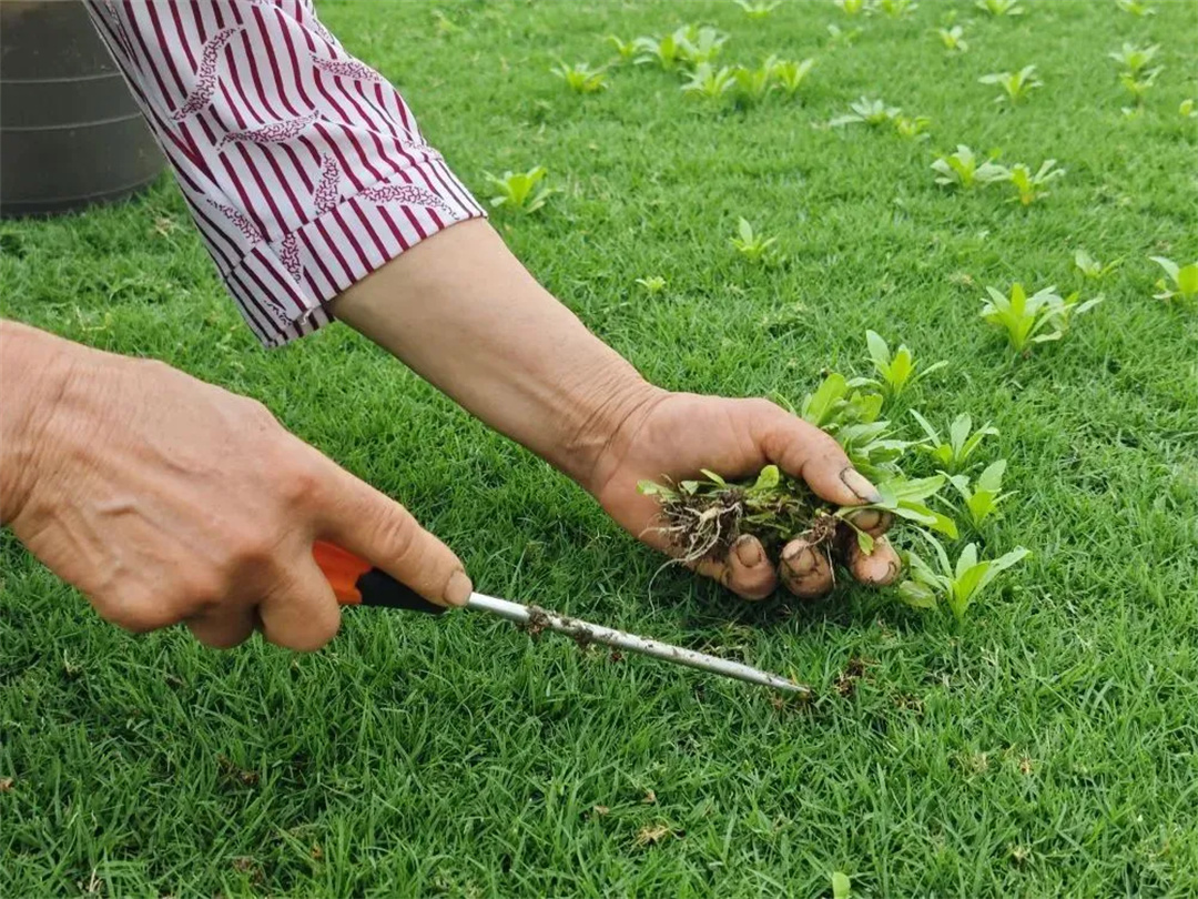 萬豪集團匠心助力，6月齊聚重慶龍興足球場為國足吶喊助威！